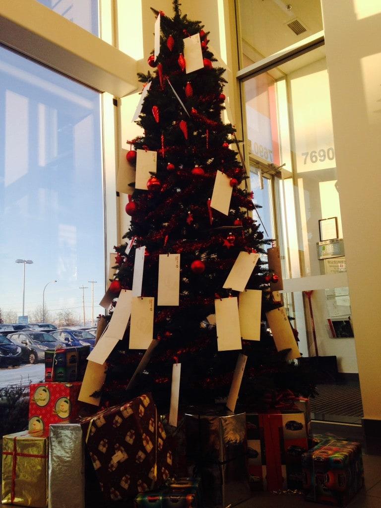 Money Hangs On Our Tree